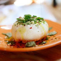 Homemade Mozzarella Cheese