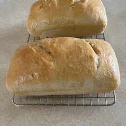 Granddaddy's Sourdough Recipe