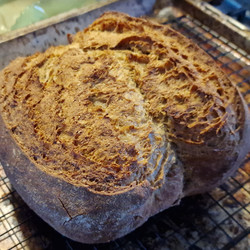 Rogge Brood