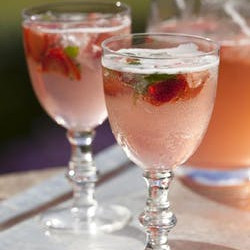 Perch Hill Rhubarb Cordial