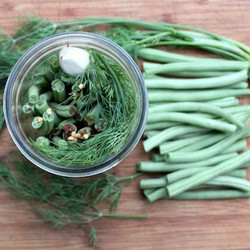 Pickled Dilly Beans (dill Pickled Green Beans)