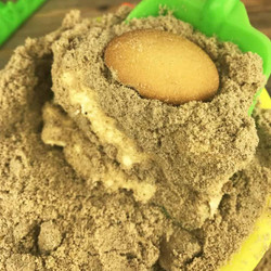Sand Pudding Recipe