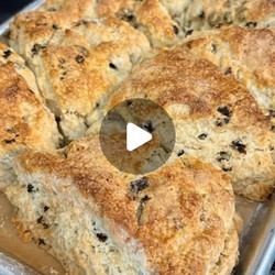 ***Lemon &amp; Currant Sunday Scones***