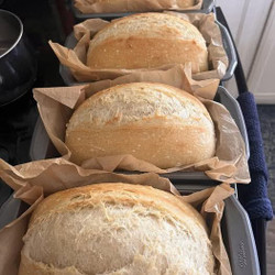 Bread