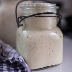 Gluten Free Sourdough Starter
