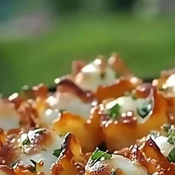 Iowa Party Bites