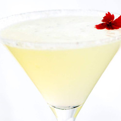 Perfect Lemon Drop Martini