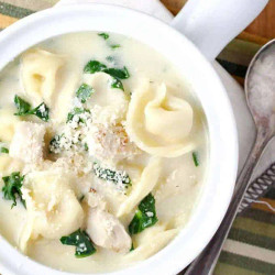 Chicken Tortellini Alfredo Soup
