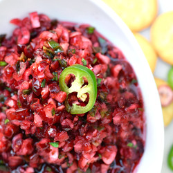Sweet And Spicy Cranberry Salsa