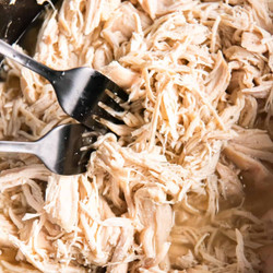 Crockpot Shredded Chicken Recipe