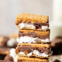 Frozen Peanut Butter S'mores