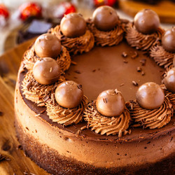 Chocolate Cheesecake