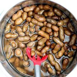 Instant Pot Boiled Peanuts