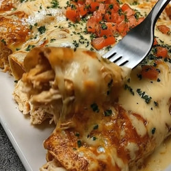 Creamy Chicken Enchiladas With White Queso Sauce