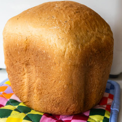 Bread Machine Italian Herb Bread (basil And Oregano)