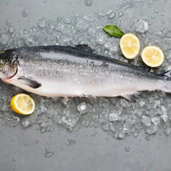 How To Cook Salmon