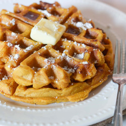 Pumpkin Chocolate Chip Waffles