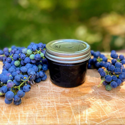 Wild Grape Jelly