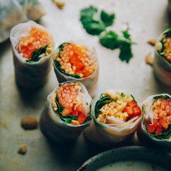 Papaya Salad Rolls With Lime Dip