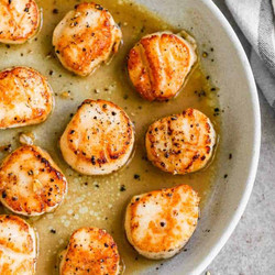 Seared Scallops