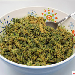 Cilantro Pesto Pasta Salad With Chicken