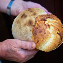 Ikarian-style Sourdough Bread