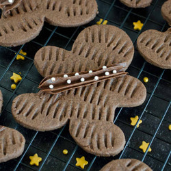 Chocolate Wookie Cookies