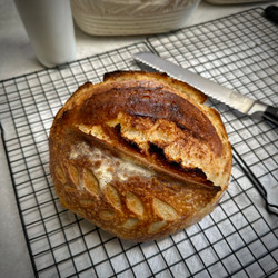 Sourdough Dutch Oven Boule
