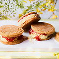 Peanut Butter And Jelly Ice Cream Sandwiches