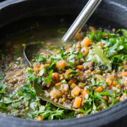 French Green Lentil Soup