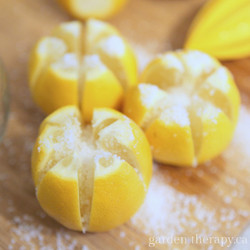 Preserved Lemons