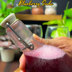 Gut Healthy Fermented Blueberry Soda