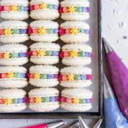 Vanilla Macarons