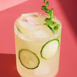 Cucumber Gin Mint Rickey