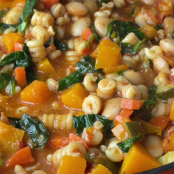 Minestrone Soup