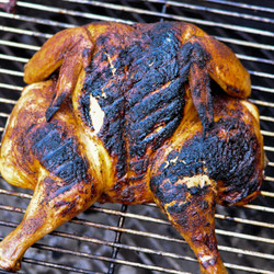 Spatchcock Grilled Chicken