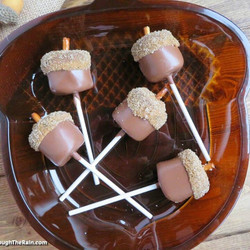 Salted Caramel Marshmallow Acorns
