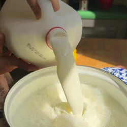 Homemade Cream Cheese