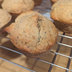 Protein Style Costco Muffins, Poppy Seed