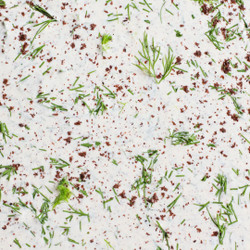 Asha's Sumac Ranch