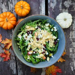 Apple, Cranberry, And Pumpkin Seed Fall Salad With Lemon Tahini Dressing