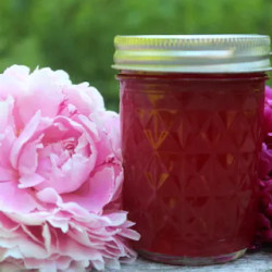 Peony Jelly