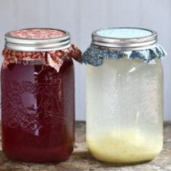 Ginger Bug Soda Pop