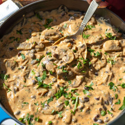 Mushroom Stroganoff
