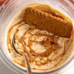 Ninja Creami Biscoff Protein Ice Cream