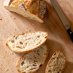 The New Artisan Bread In Five Minutes A Day Master Recipe! (back To Basics Updated)
