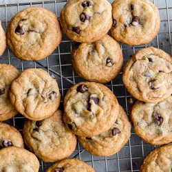 Martha-stewart-fired-me Cookies