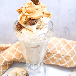 Ninja Creami Vegan Peanut Butter Gelato