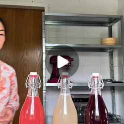 Ginger Bug - Natural Probiotic Soda