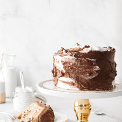 High Altitude S'mores Cake